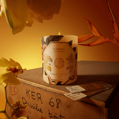 Candle - Carriere Freres - Carrière Frères Frangipani Candle 185g - The Gift Company