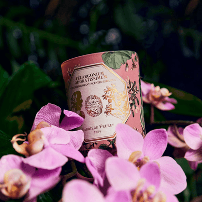 Candle - Carriere Freres - Carrière Frères Geranium Candle 185g - The Gift Company