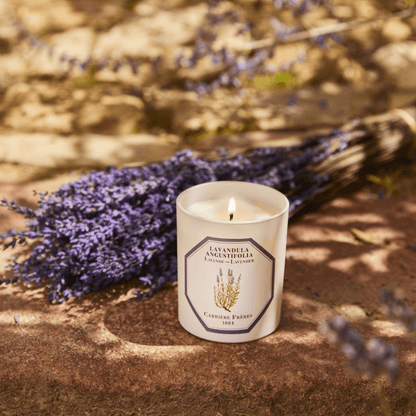 Candle - Carriere Freres - Carrière Frères Lavender Candle 185g - The Gift Company