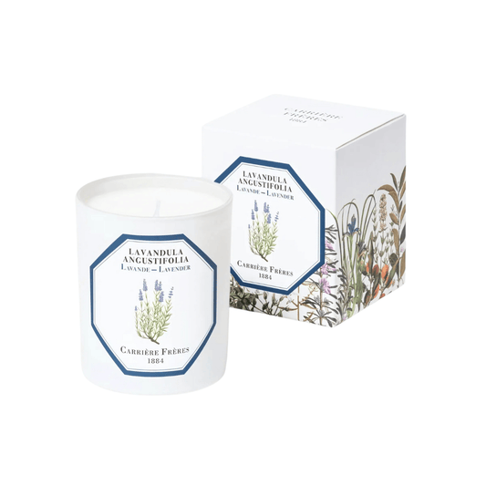 Candle - Carriere Freres - Carrière Frères Lavender Candle 185g - The Gift Company