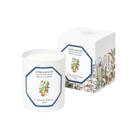 Candle - Carriere Freres - Carrière Frères Orange Blossom Candle 185g - The Gift Company