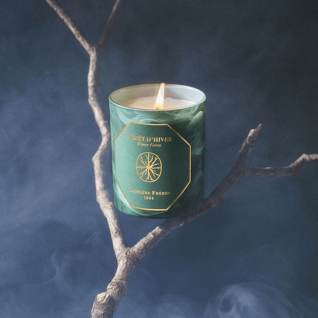 Candle - Carriere Freres - Carrière Frères Winter Forest Candle 185g - The Gift Company