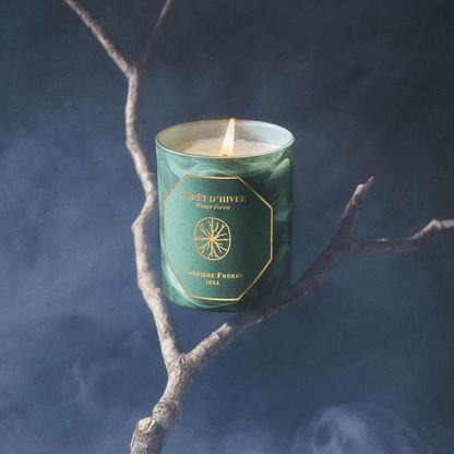 Candle - Carriere Freres - Carrière Frères Winter Forest Candle 185g - The Gift Company