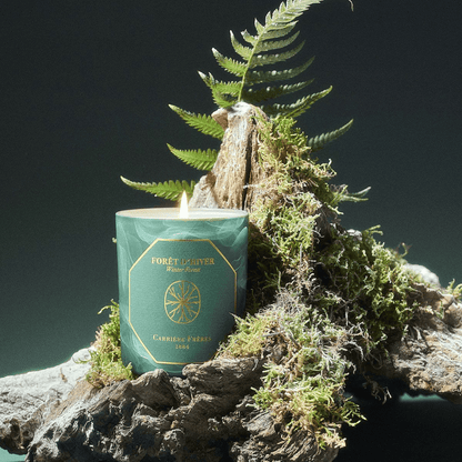 Candle - Carriere Freres - Carrière Frères Winter Forest Candle 185g - The Gift Company