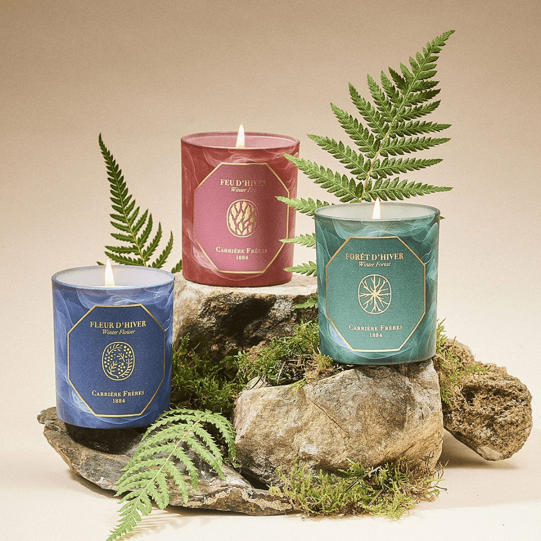 Candle - Carriere Freres - Carrière Frères Winter Forest Candle 185g - The Gift Company