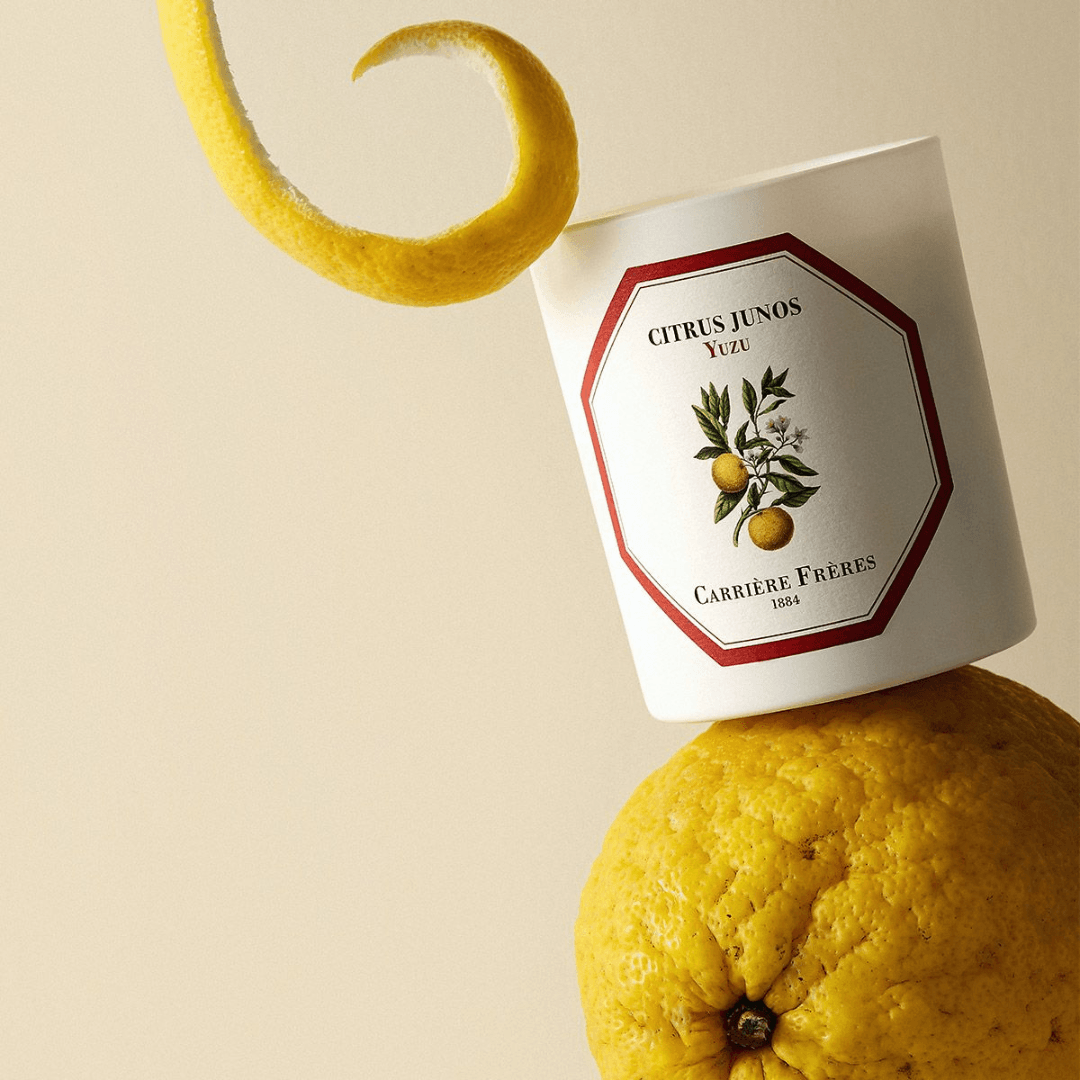 Candle - Carriere Freres - Carrière Frères Yuzu Candle 185g - The Gift Company