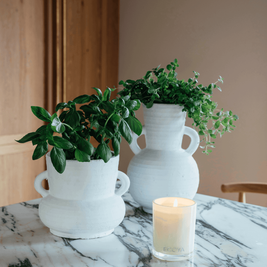 Candle - Ecoya - ECOYA Cedarwood & Leather Candle 400g - The Gift Company