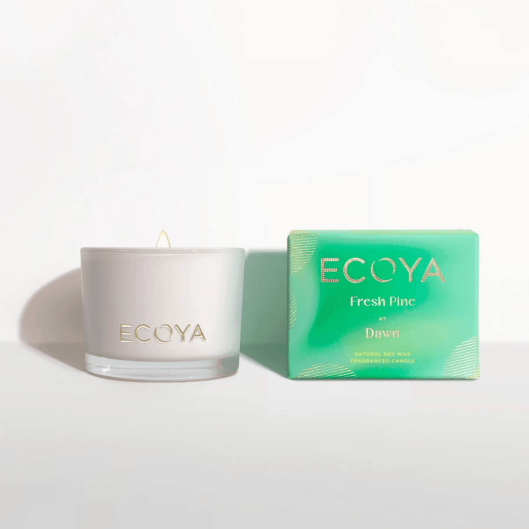 Candle - Ecoya - ECOYA Limited Edition: Fresh Pine at Noon Monty Jar 80g Candle - The Gift Company