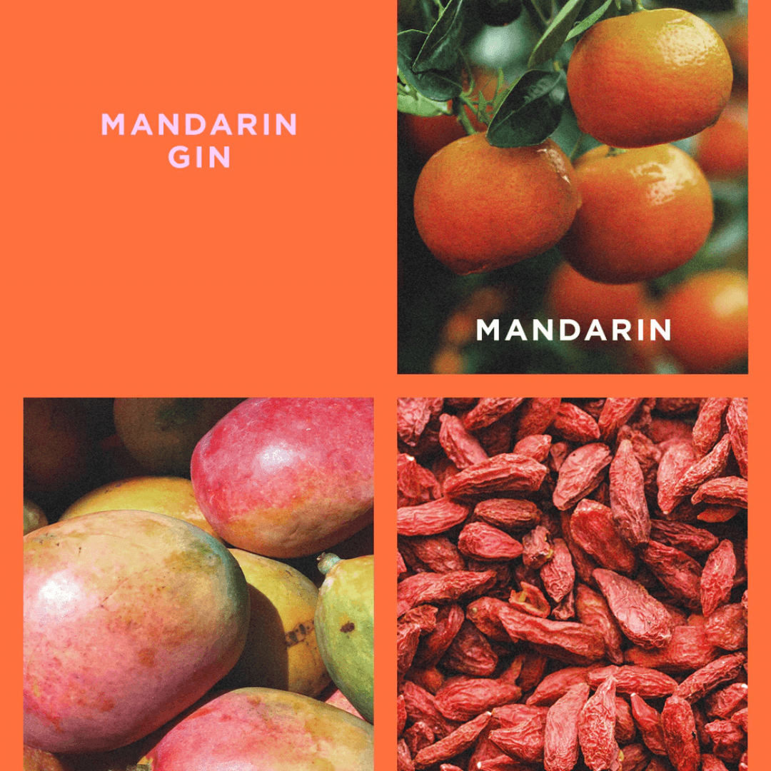 Candle - Ecoya - ECOYA Mandarin Gin Madison Candle 400g - The Gift Company