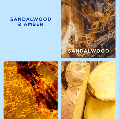 Candle - Ecoya - ECOYA Sandalwood & Amber Madison Candle 400g - The Gift Company
