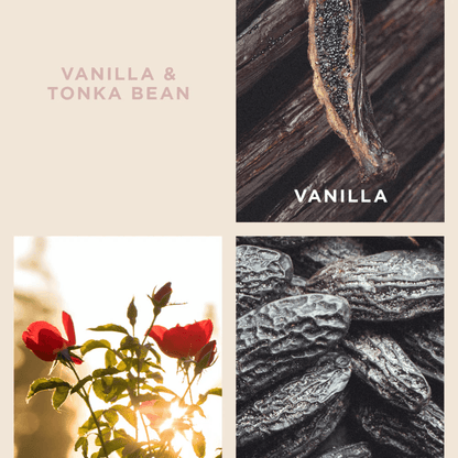 Candle - Ecoya - ECOYA Vanilla & Tonka Bean Candle 400g - The Gift Company