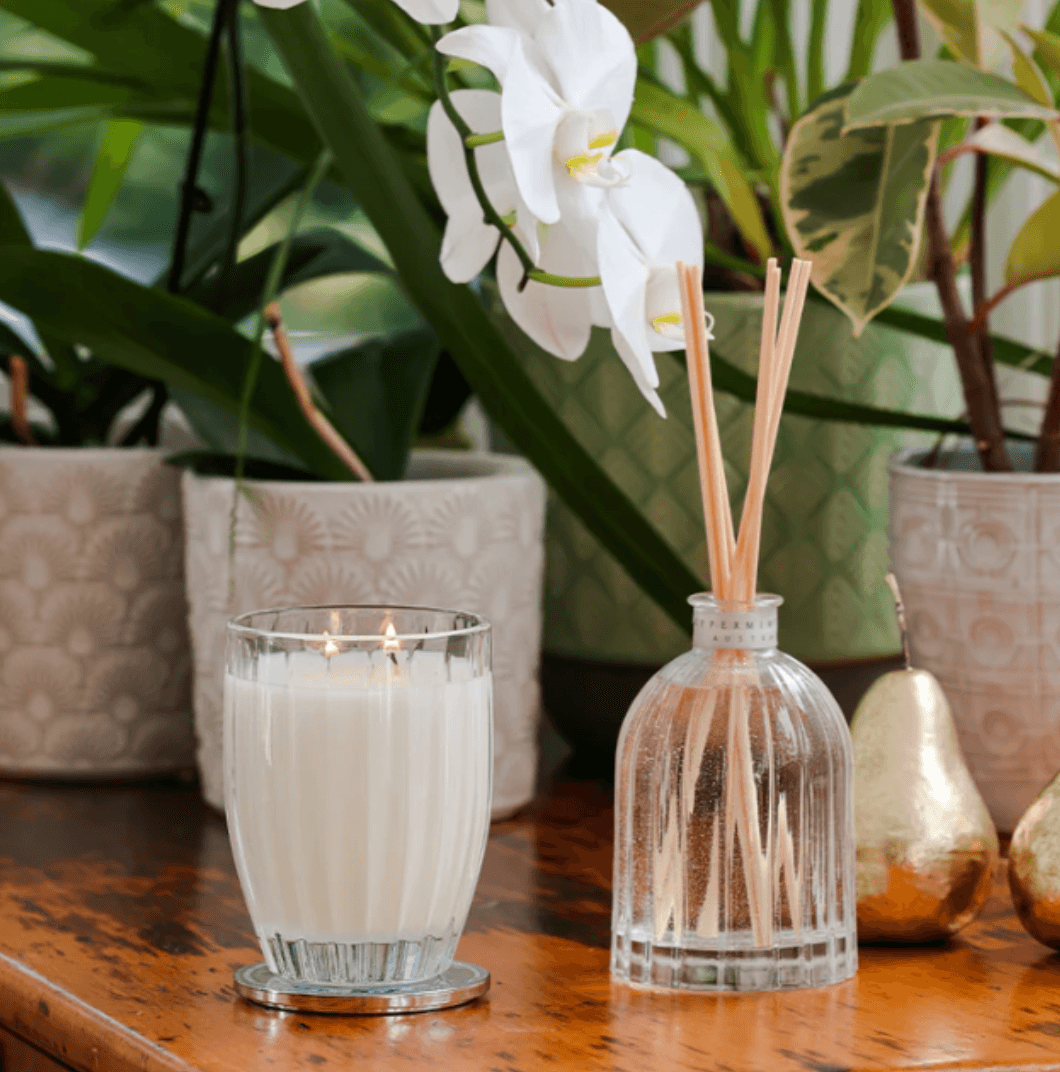 Candle - Peppermint Grove - Peppermint Grove Black Orchid & Ginger Soy Candle 370g - The Gift Company