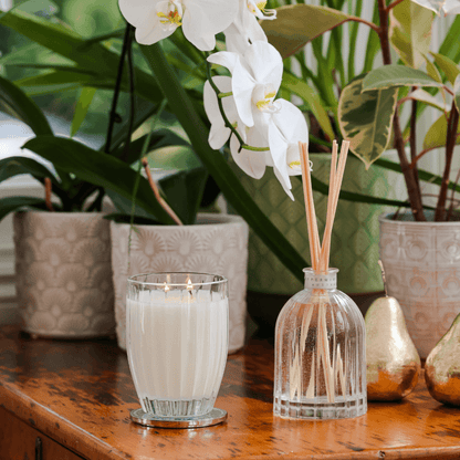 Candle - Peppermint Grove - Peppermint Grove Sweet Sorbet & Grapefruit Soy Candle 200g - The Gift Company