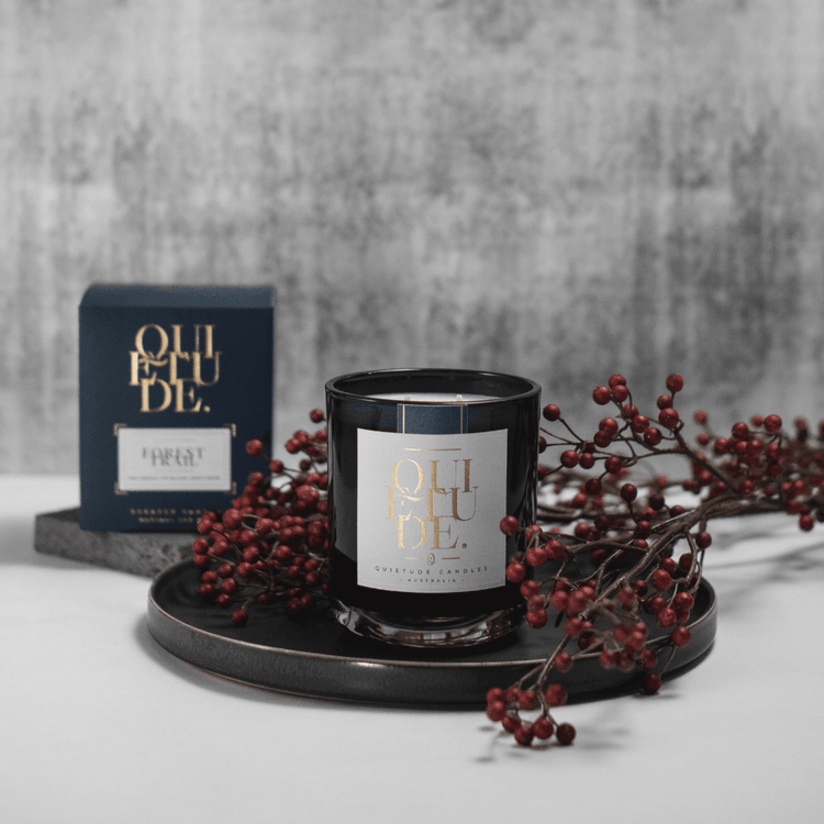 Candle - Quietude - Forest Trail - Pine Needle, Fir Balsam & Birch Wood - The Gift Company