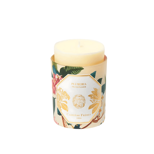 Candle Refill - Carriere Freres - Carrière Frères Refill for Frangipani Candle 185g - The Gift Company