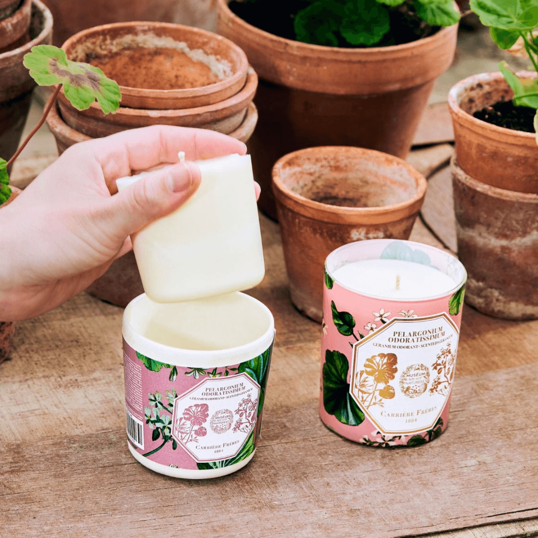 Candle Refill - Carriere Freres - Carrière Frères Refill for Geranium Candle 185g - The Gift Company