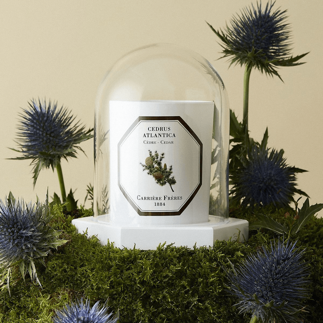 Candle Shield - Carriere Freres - Carrière Frères The Dome - The Gift Company