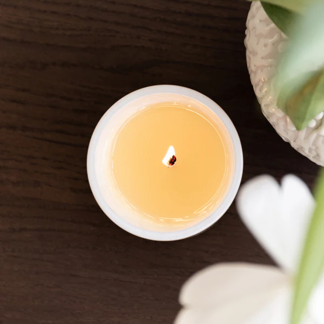 Candle - The Aromatherapy Co. - The Aromatherapy Co. Neroli & Amber Wood Naturals Candle 400g - The Gift Company