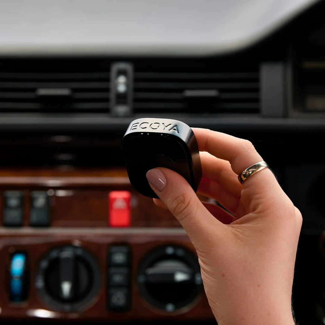 Car Diffuser - Ecoya - ECOYA Guava & Lychee Sorbet Car Diffuser Fragrance Pods - The Gift Company