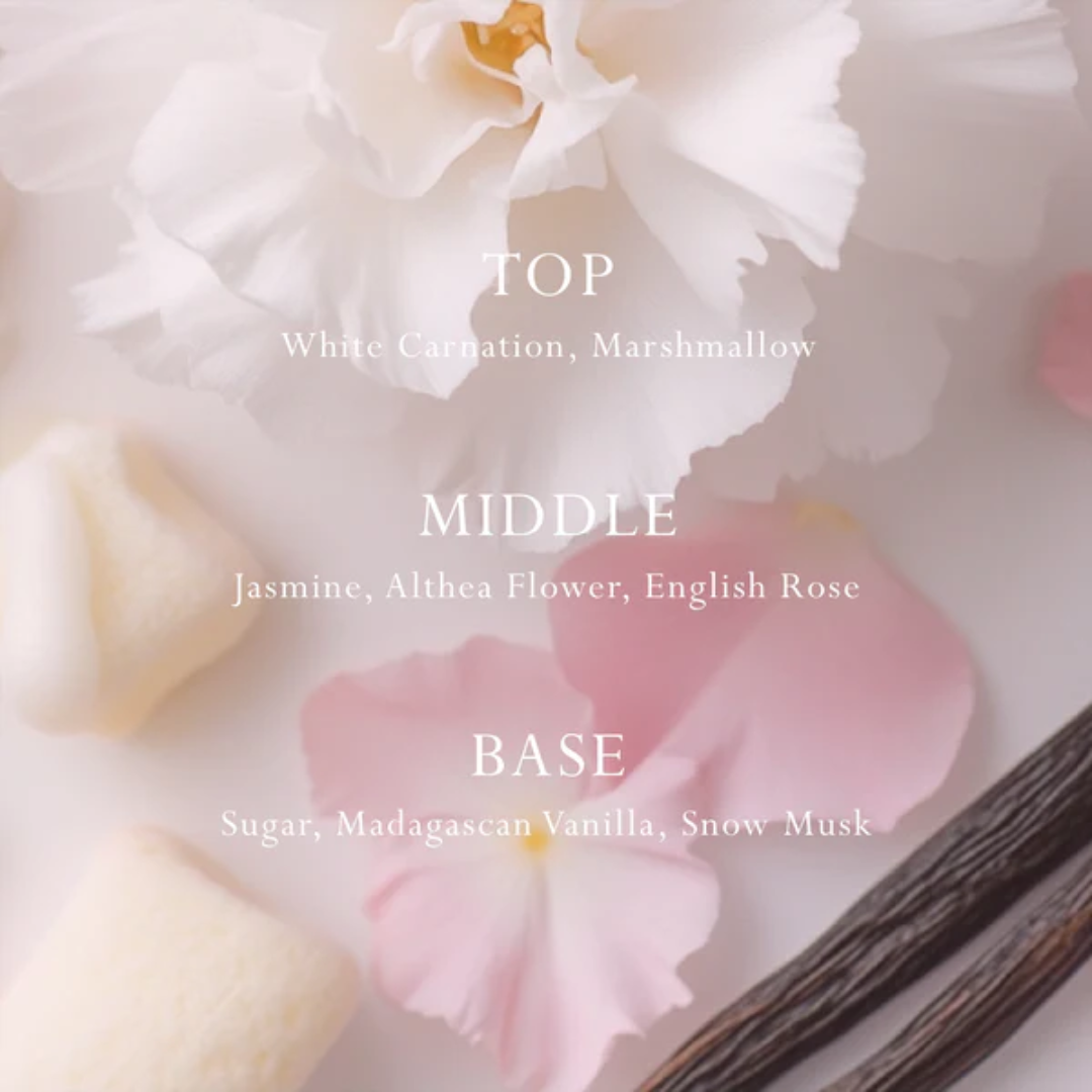 Car Diffuser - Mor Boutique - MOR Boutique Marshmallow Car & Space Diffuser - The Gift Company
