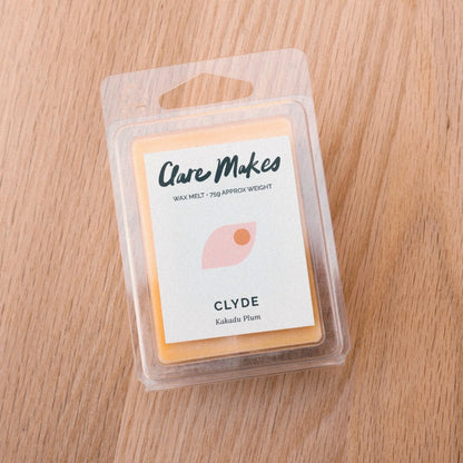 Clare Makes Clyde Kakadu Plum Reed Diffuser 200mL – Clare Makes product and lifestyle image 14