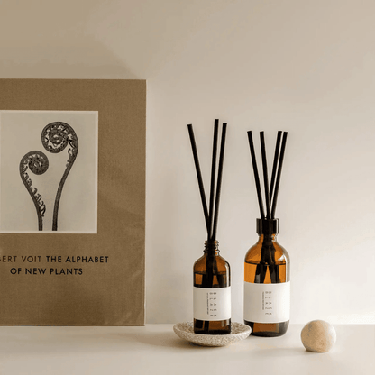Diffuser - Black Blaze - Black Blaze Bondi Breeze Diffuser 100ml - The Gift Company