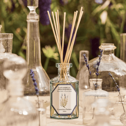Diffuser - Carriere Freres - Carrière Frères Lavender Diffuser 200mL - The Gift Company