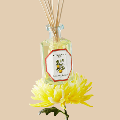 Diffuser - Carriere Freres - Carrière Frères Yuzu Diffuser 200mL - The Gift Company