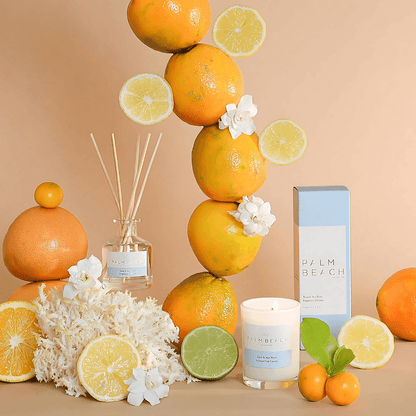 Diffuser - Palm Beach - Palm Beach - Yuzu & Sea Moss Reed Diffuser 250mL - The Gift Company