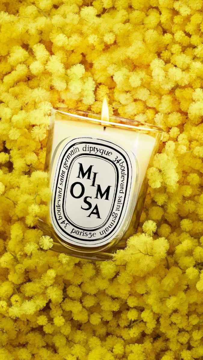 Diptyque Mimosa Scented Candle 190g