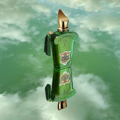 Xerjoff Fiero Eau de Parfum 100mL
