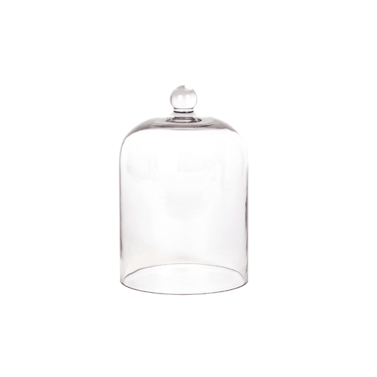 Glass Cloche - Palm Beach - Palm Beach Collection Candle Glass Cloche - The Gift Company