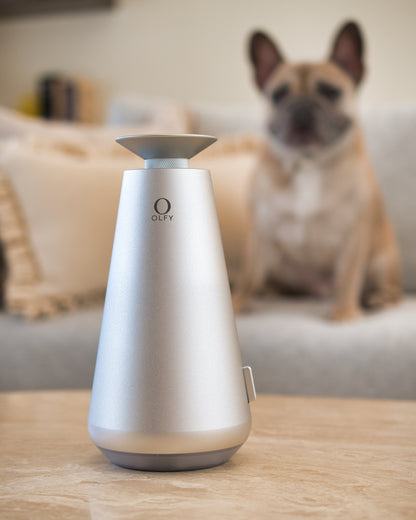 Home Diffuser - OLFY - OLFY Smart Home Diffuser – Aluminium Grey (DecoPRO) - The Gift Company