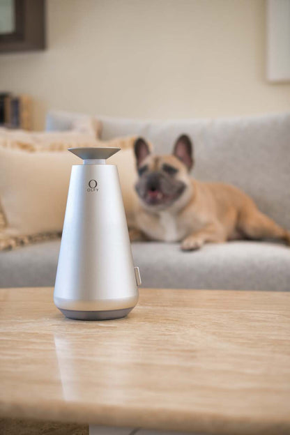 Home Diffuser - OLFY - OLFY Smart Home Diffuser – Aluminium Grey (DecoPRO) - The Gift Company