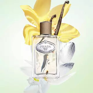 Prada Infusion de Vanille ingredients and styled image