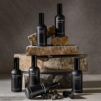 Interior Scent - Studio Milligram - Studio Milligram Interior Scent Study of Trees 100ml - The Gift Company