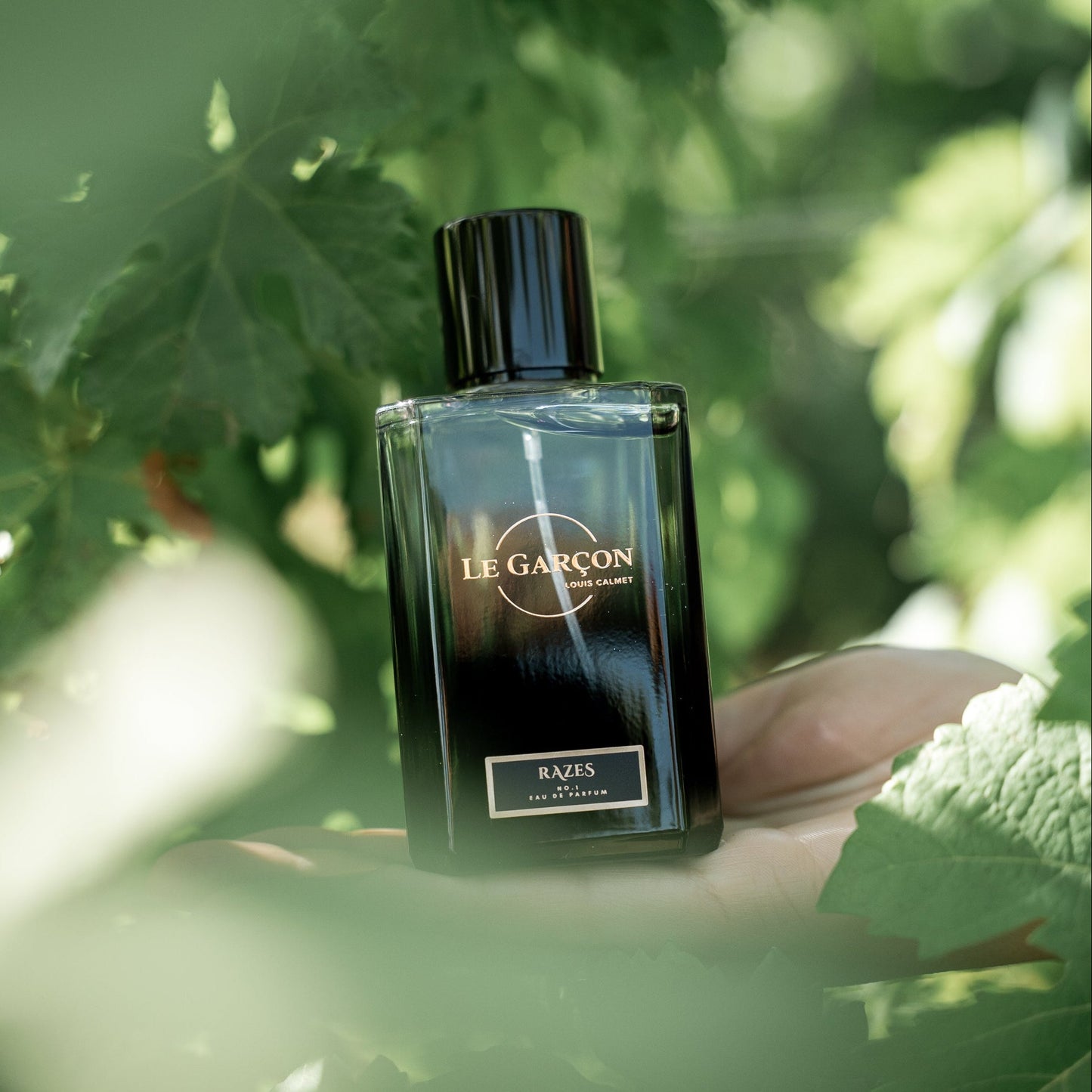 Maison Le Garçon Razes No.1 Eau de Parfum 100mL supplier image 2