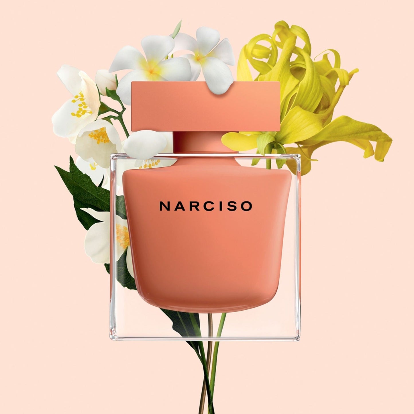 Narciso Rodriguez Ambrée Eau de Parfum Amber Floral 90mL product image 4