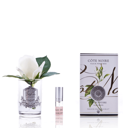 Perfumed Rosebud - Cote Noire - Cote Noire Natural Touch Rosebud - Ivory White - The Gift Company