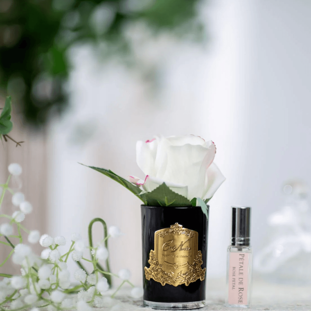 Perfumed Rosebud - Cote Noire - Cote Noire Natural Touch Rosebud - Pink Blush (Black Vessel) - The Gift Company