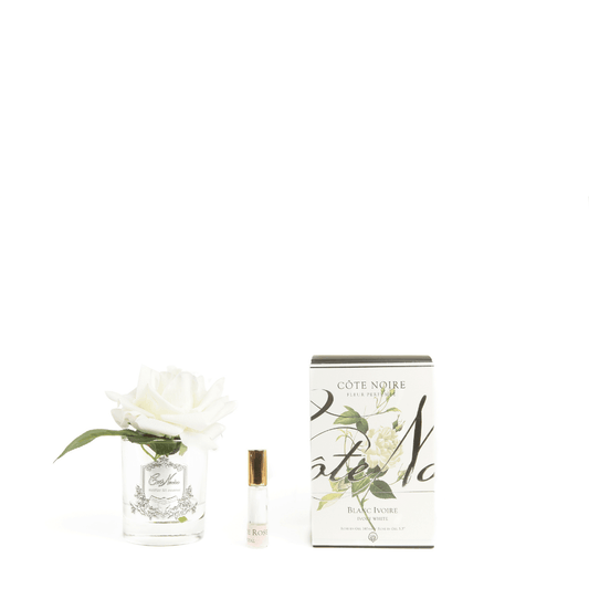 Perfumed Single Rose - Cote Noire - Cote Noire Natural Touch Single Rose - Ivory White - The Gift Company