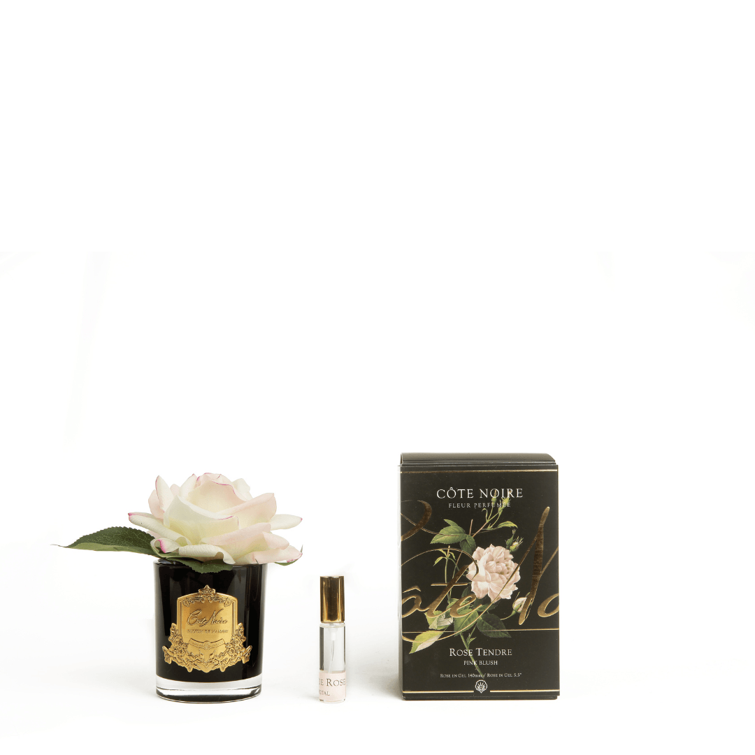 Perfumed Single Rose - Cote Noire - Cote Noire Natural Touch Single Rose - Pink Blush (Black Vessel) - The Gift Company