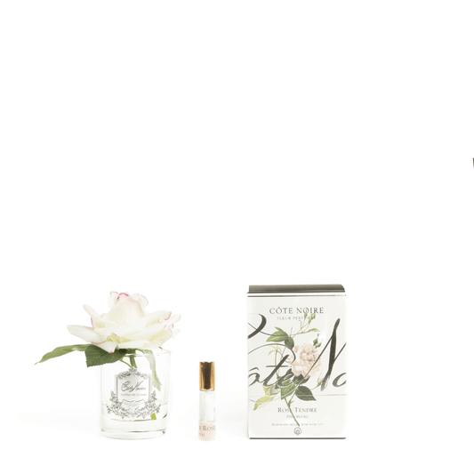 Perfumed Single Rose - Cote Noire - Cote Noire Natural Touch Single Rose - Pink Blush - The Gift Company