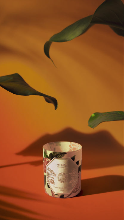 Carrière Frères Frangipani Candle 185g