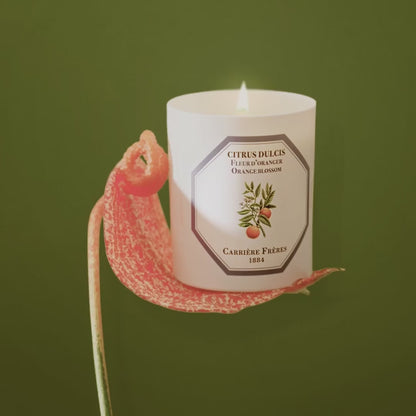 Carrière Frères Orange Blossom Candle 185g