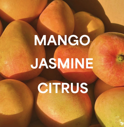 Recreation Midnight Mango fragrance notes image