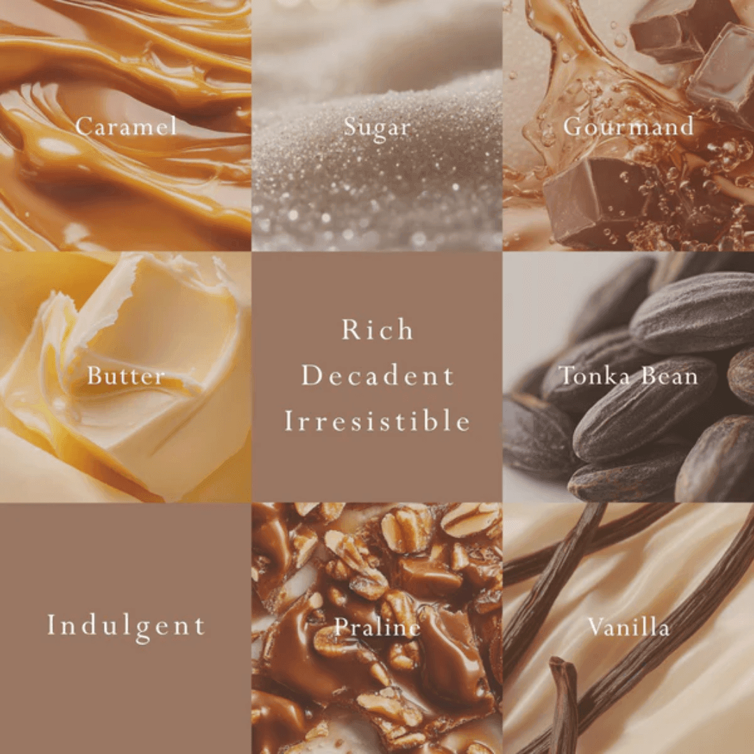 Reed Diffuser - Mor Boutique - MOR Emporium Classics Blanc Crème Caramel Reed Diffuser 200mL - The Gift Company