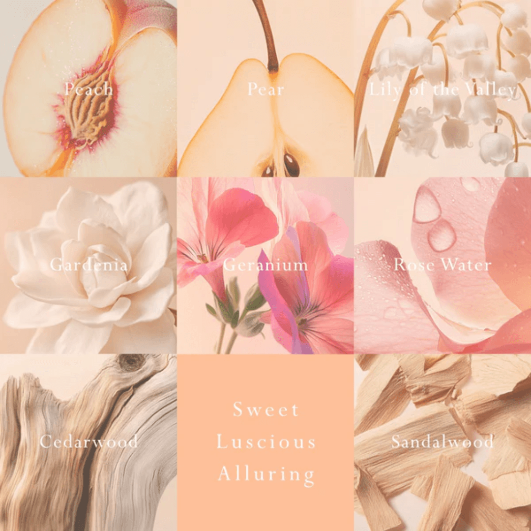 Reed Diffuser - Mor Boutique - MOR Emporium Classics Blanc Peach Delight Reed Diffuser 200mL - The Gift Company