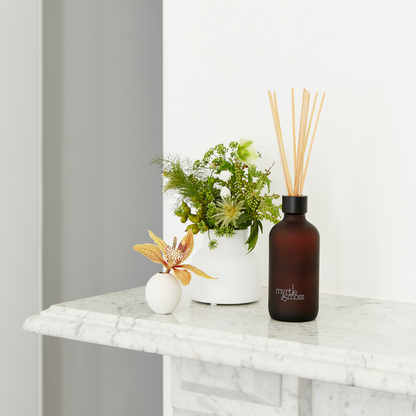 Reed Diffuser - Myrtle & Moss - Myrtle & Moss Signature Essential Oil Diffuser Rosemary, Cedarwood & Lavender Bud 125mL - The Gift Company