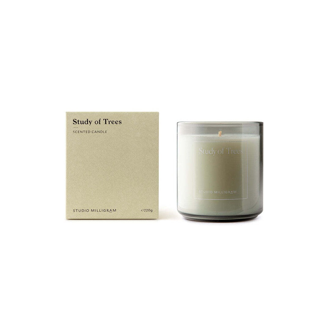 Studio Milligram Study of Trees 220g scented candle genuine product photo with white background